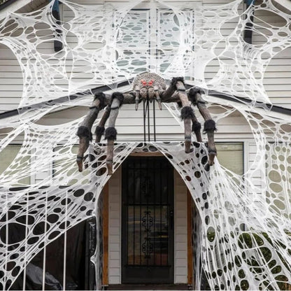 Spooky Stretch Spider Webs