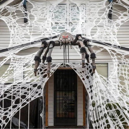 Spooky Stretch Spider Webs